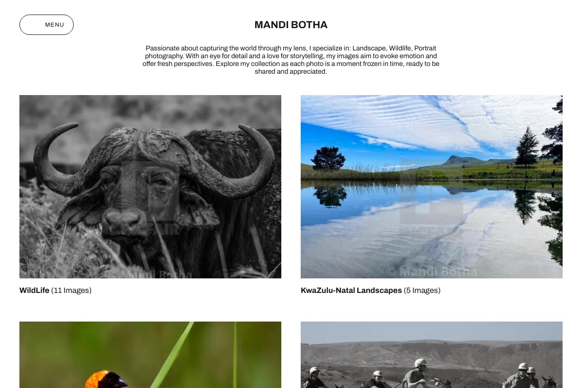Mandi Botha
