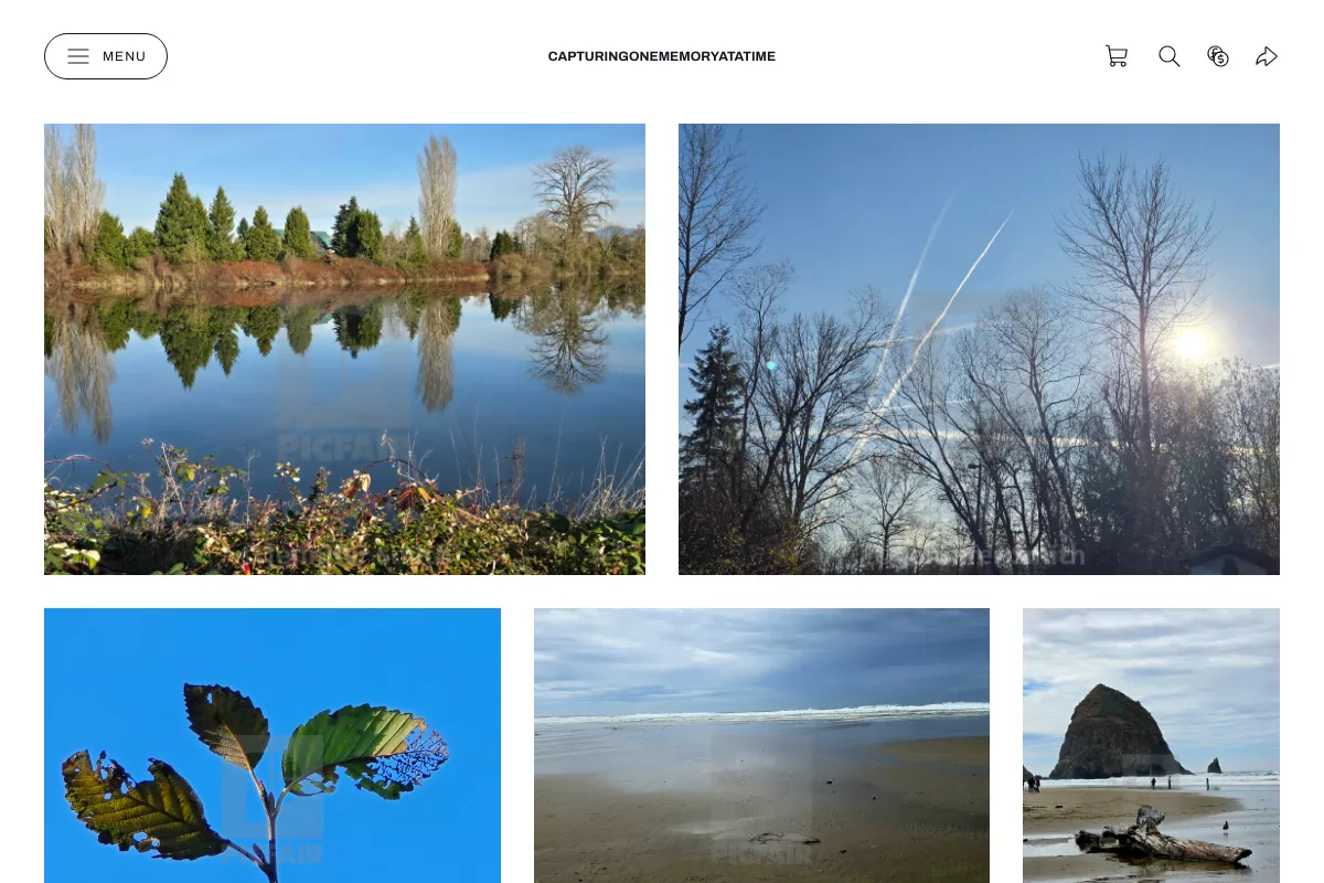 Capturingonememoryatatime