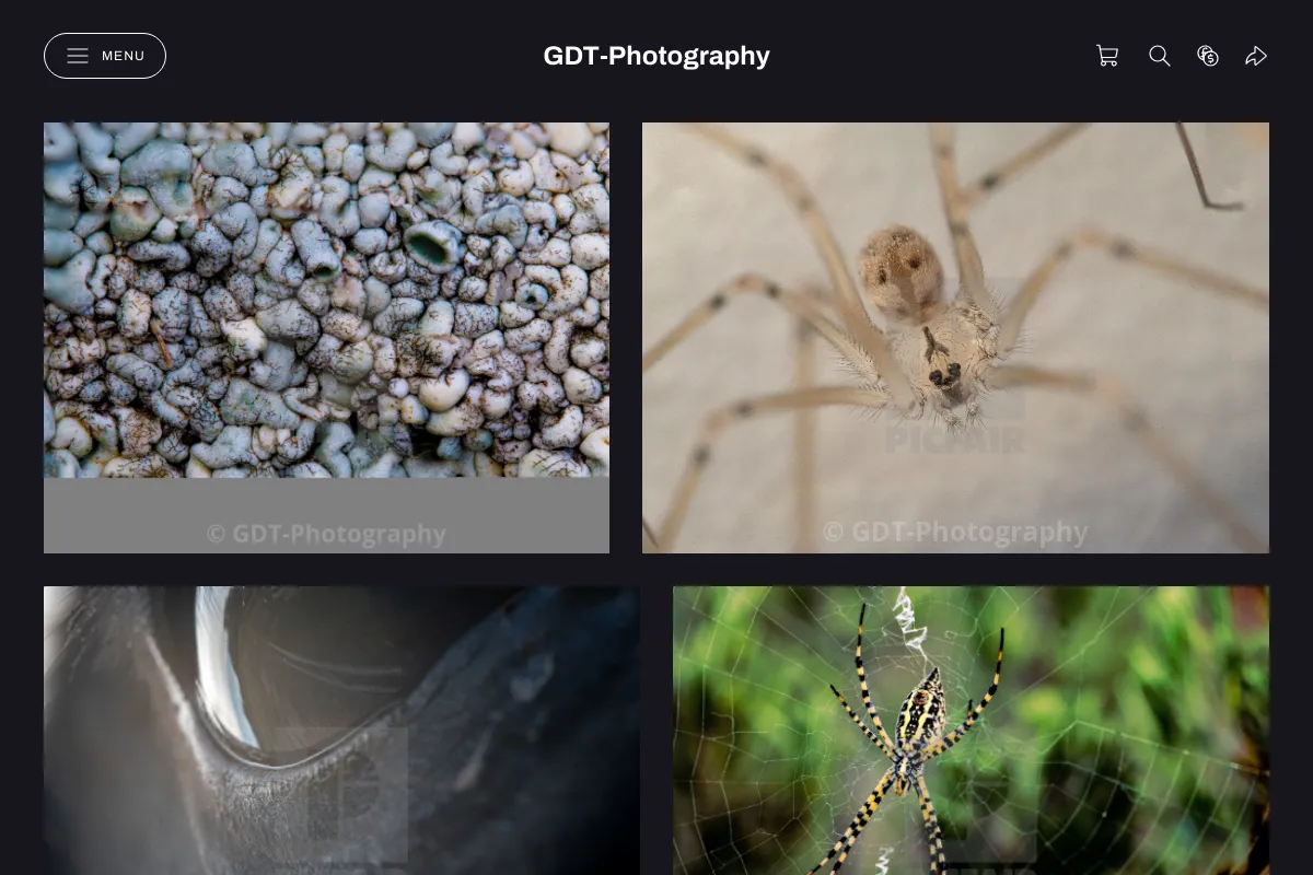 GDT-Photography
