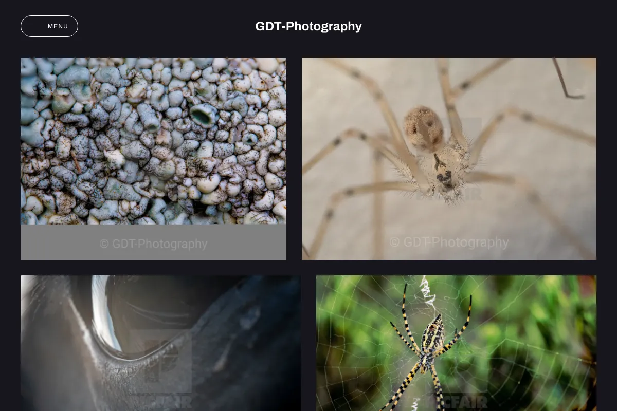 GDT-Photography