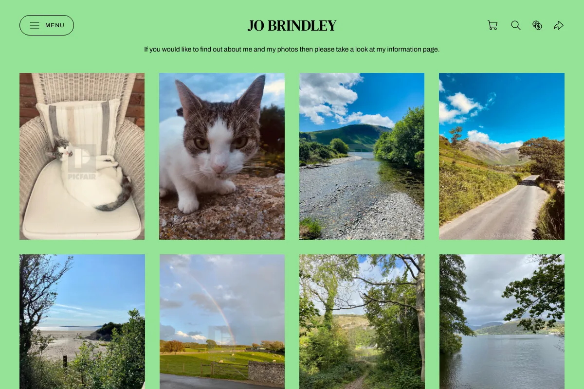Jo Brindley
