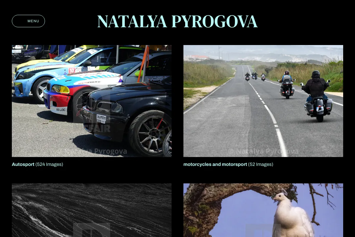 Natalya Pyrogova