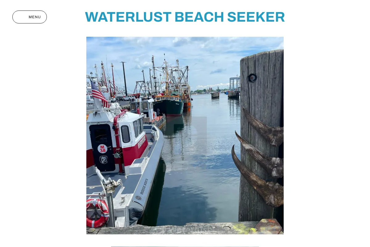 Waterlust Beach Seeker