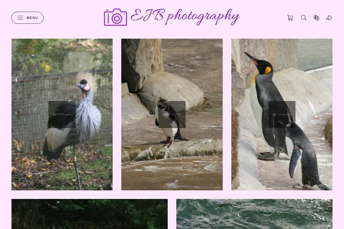 EJB photography