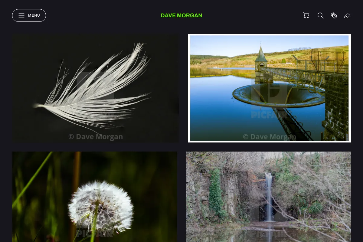 Dave Morgan