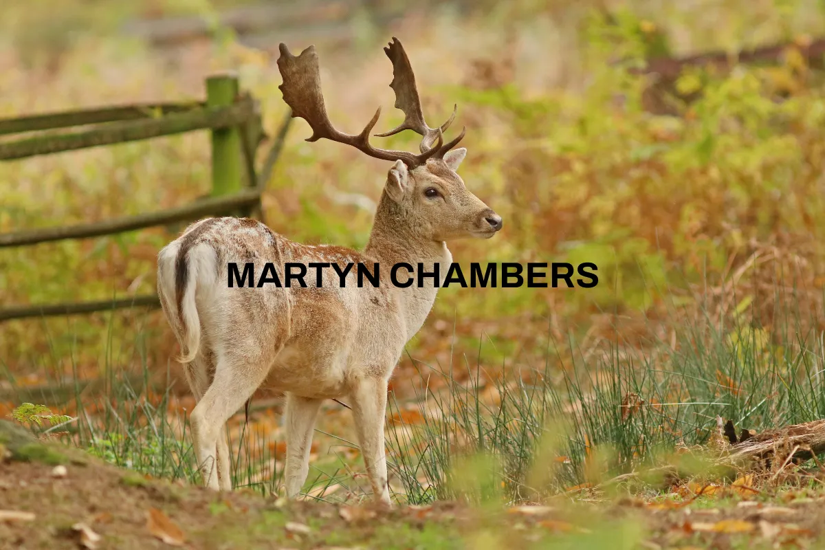 Martyn Chambers