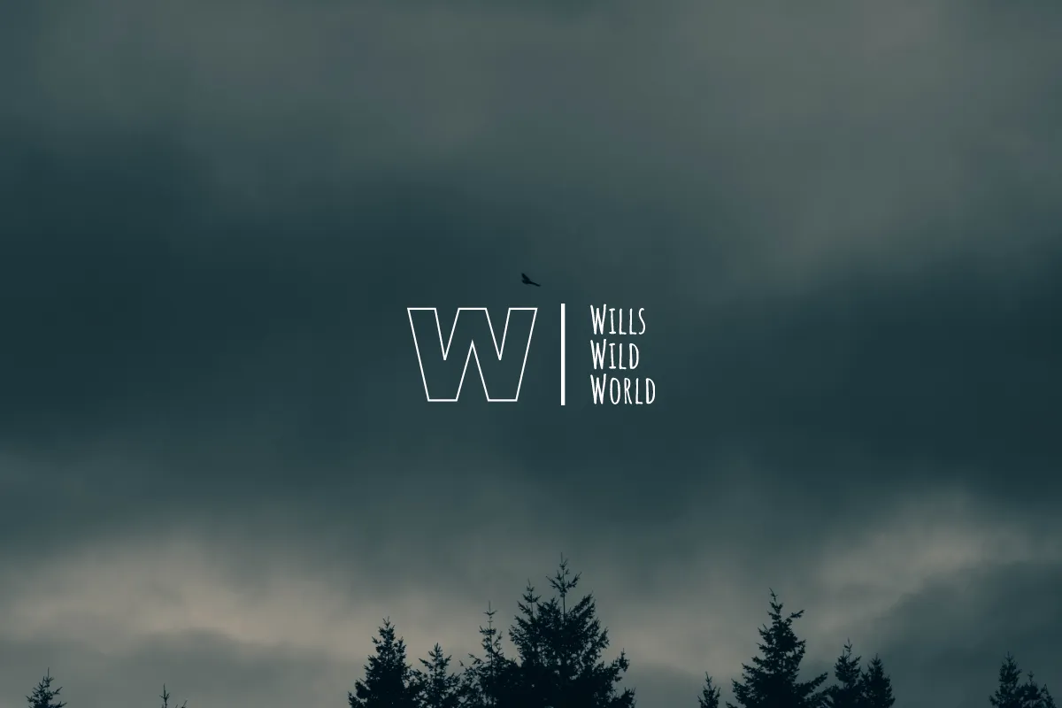 Will's Wild World
