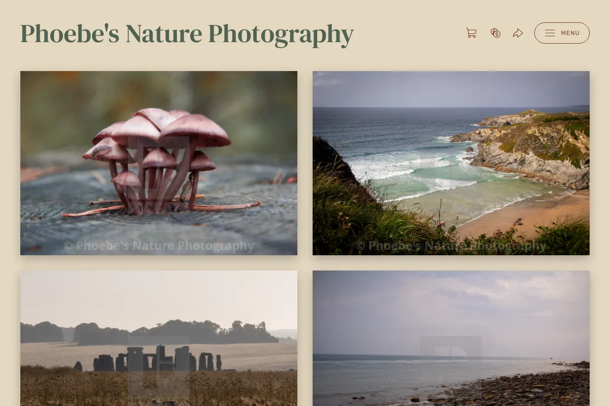 Phoebe's Nature Photography