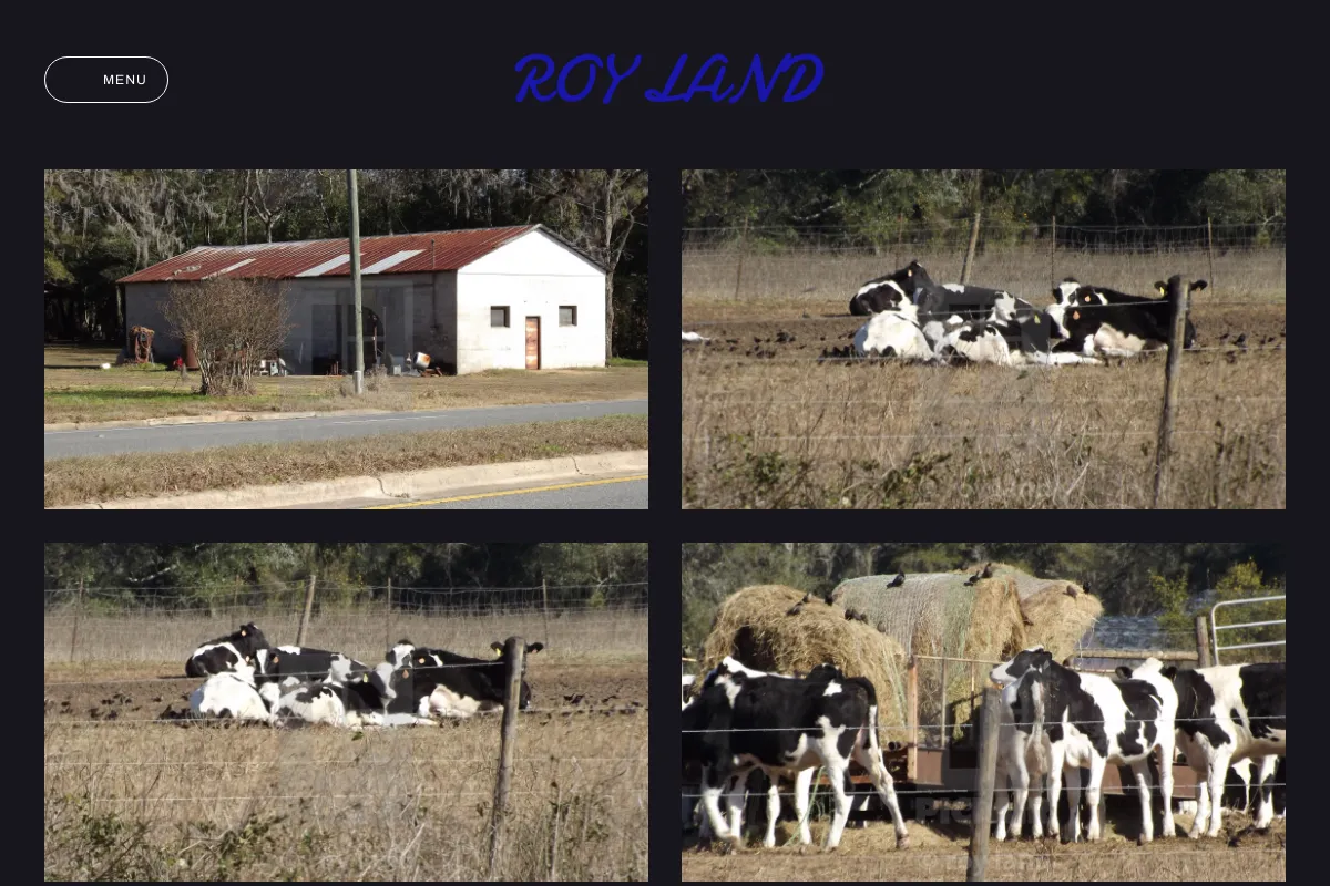 roy land