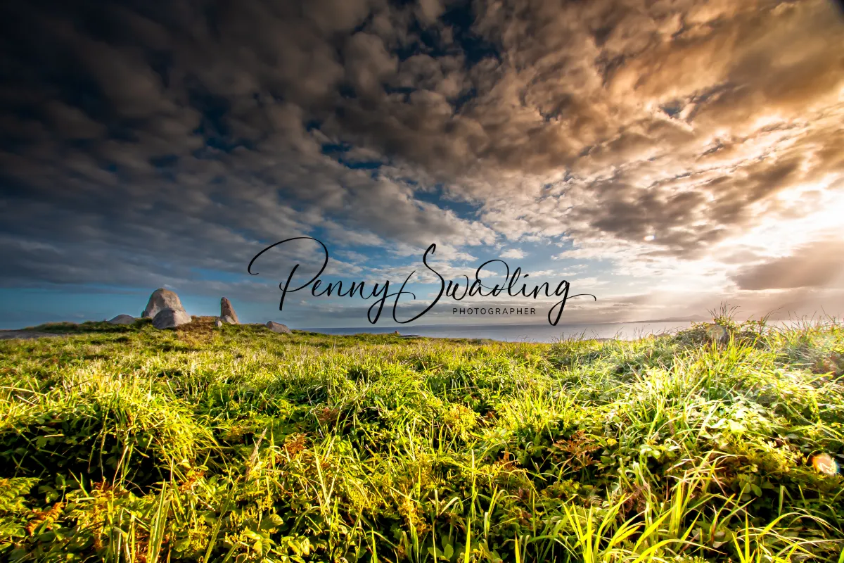 Penny Swadling