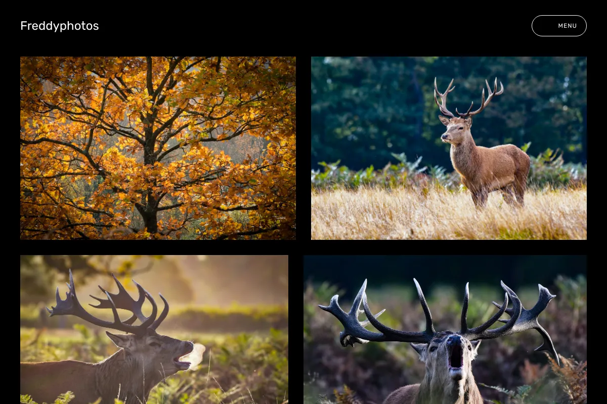 Freddyphotos 