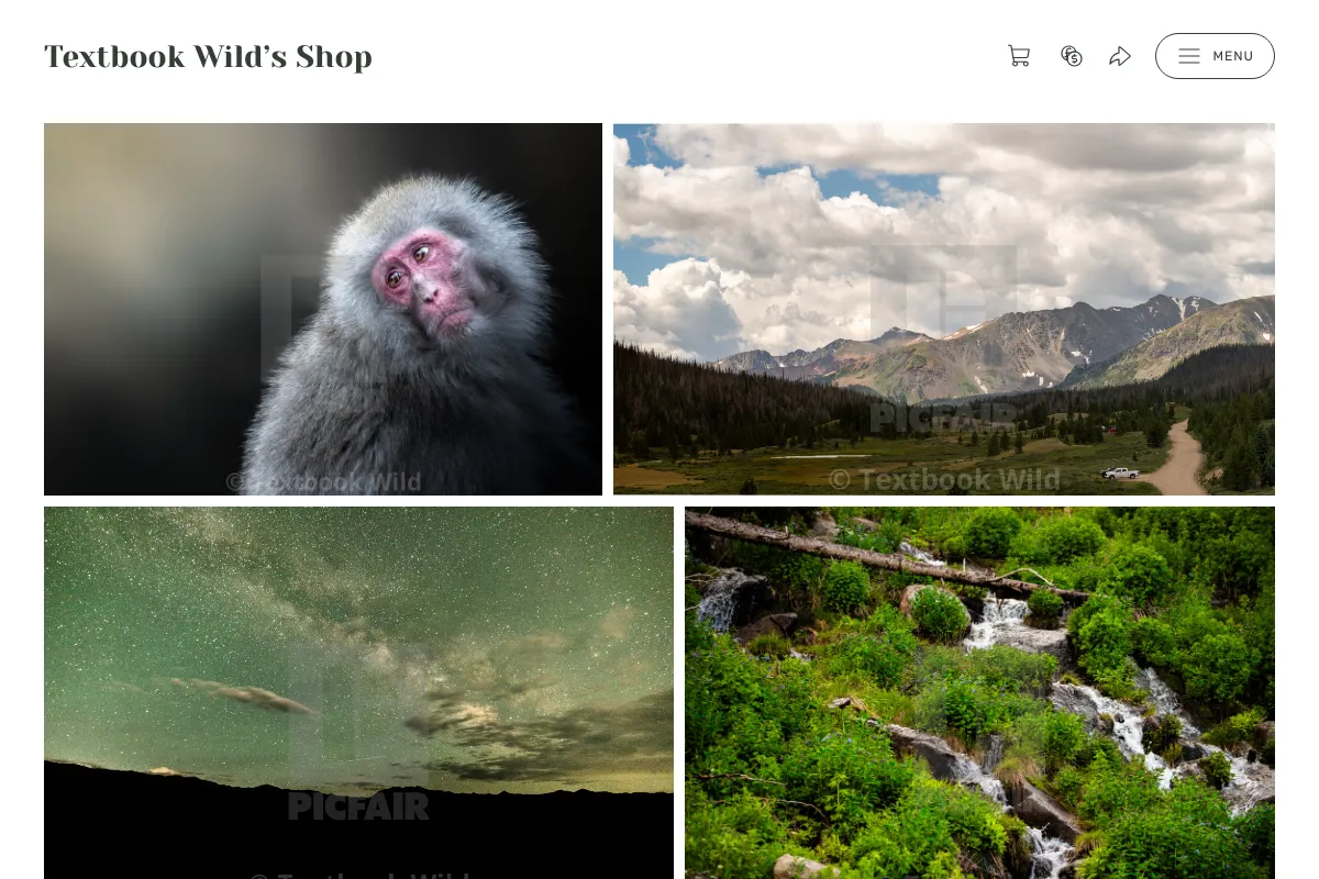 Textbook Wild’s Shop 