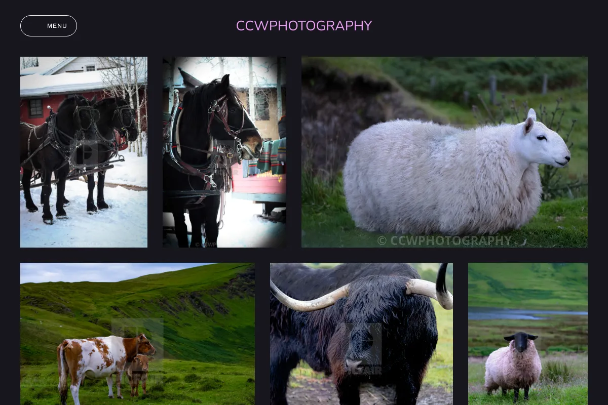CCWPHOTOGRAPHY