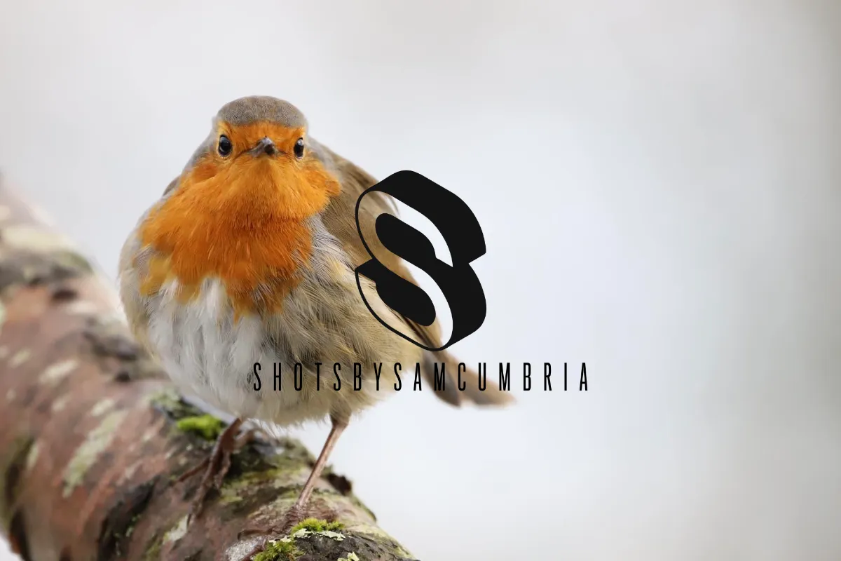 shotsbysamcumbria