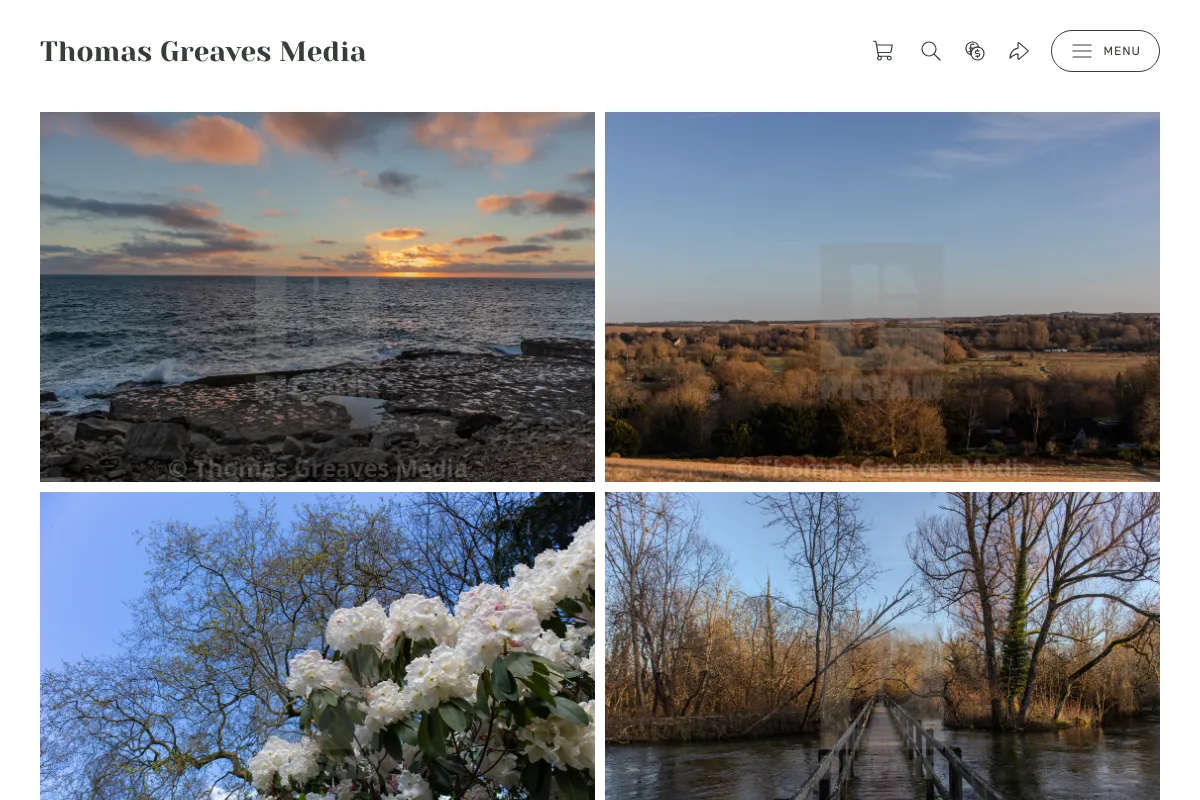 Thomas Greaves Media