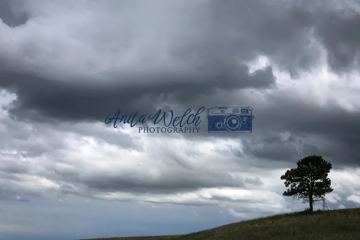 Anita Welch Photography