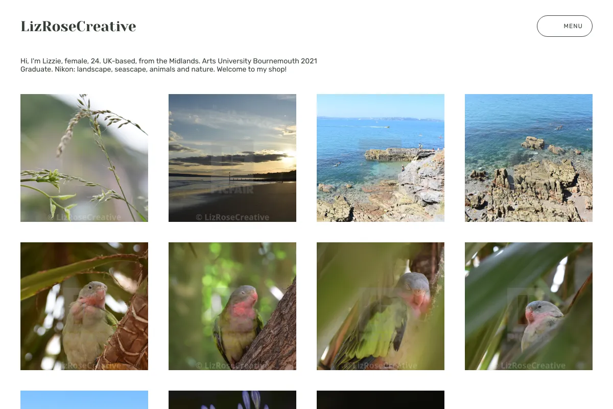 LizRoseCreative