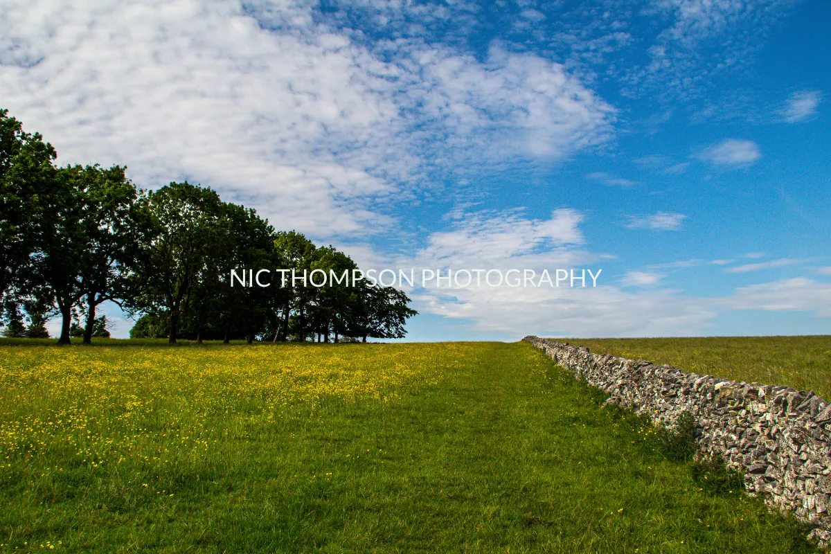 Nic Thompson Photography