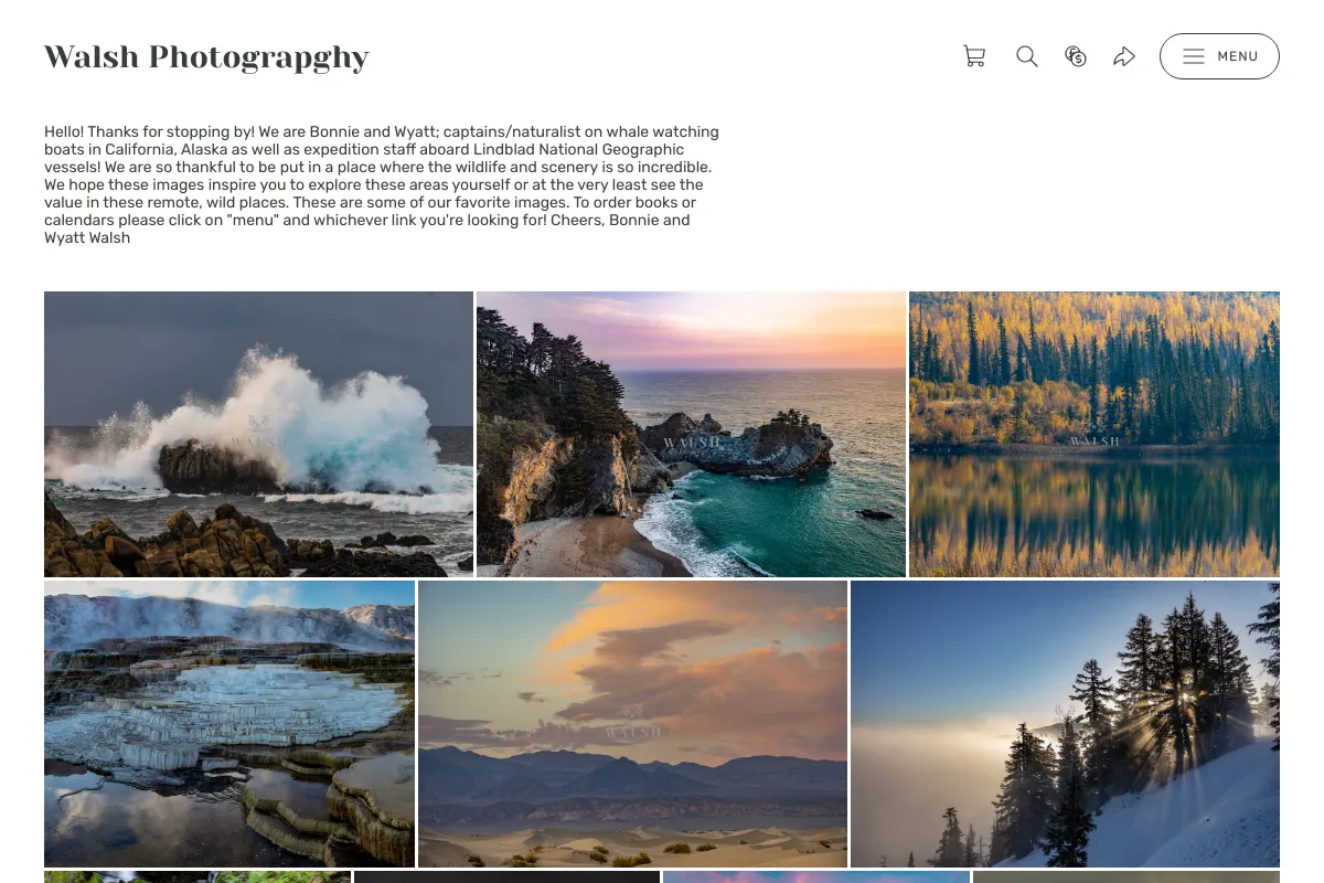 Walsh Photograpghy