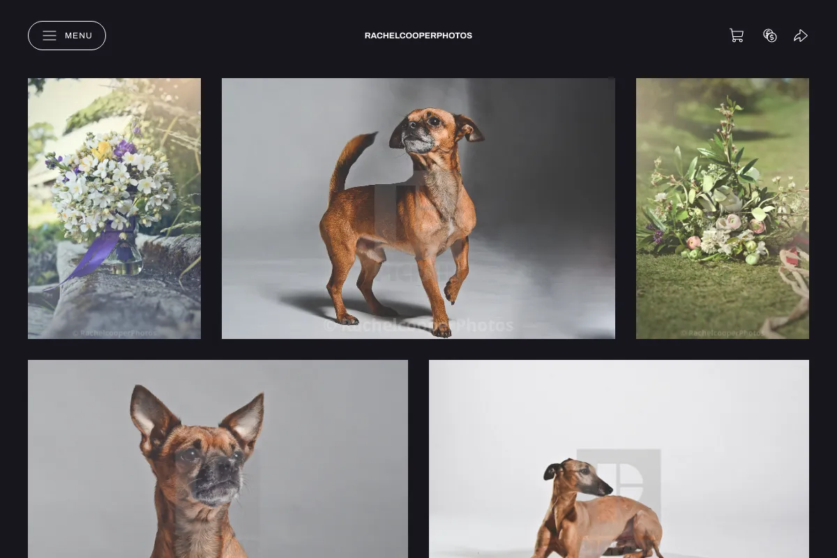 RachelcooperPhotos