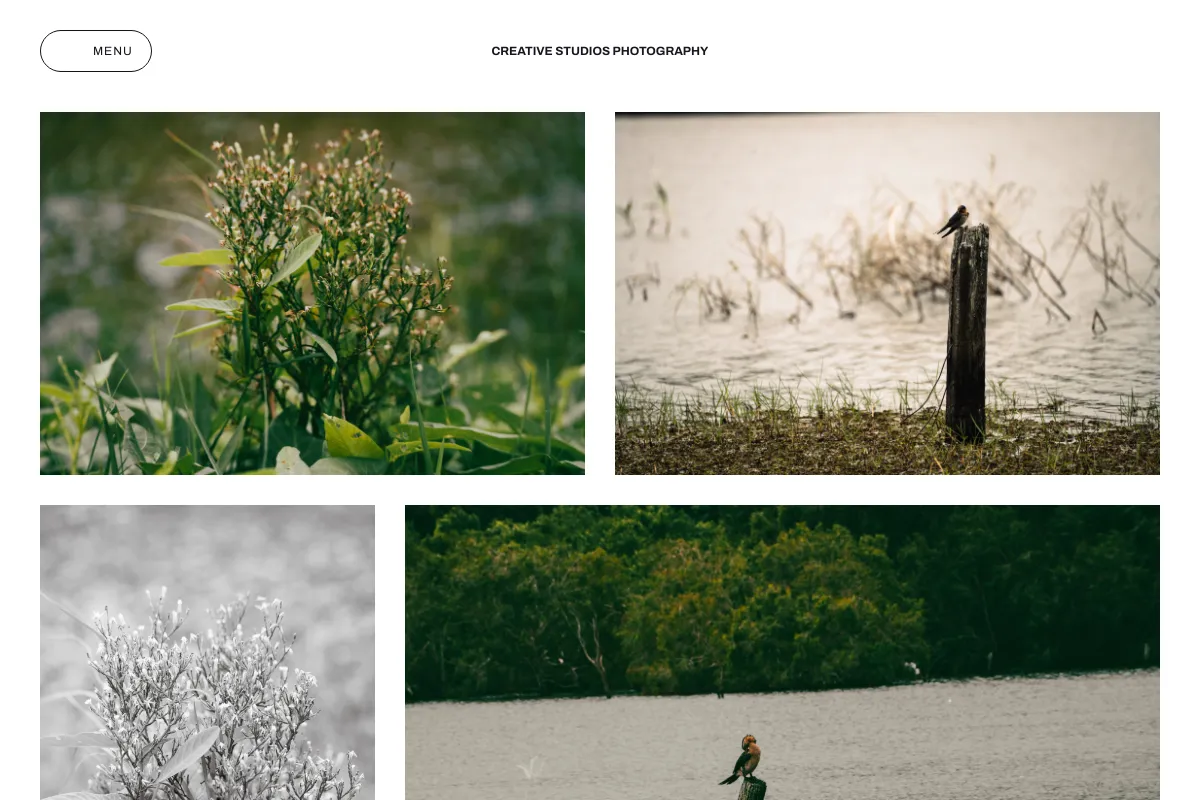 Creative Studios Photography