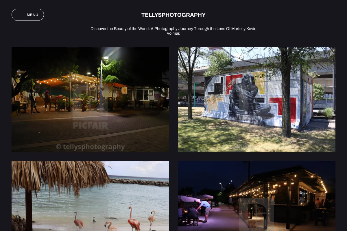 tellysphotography