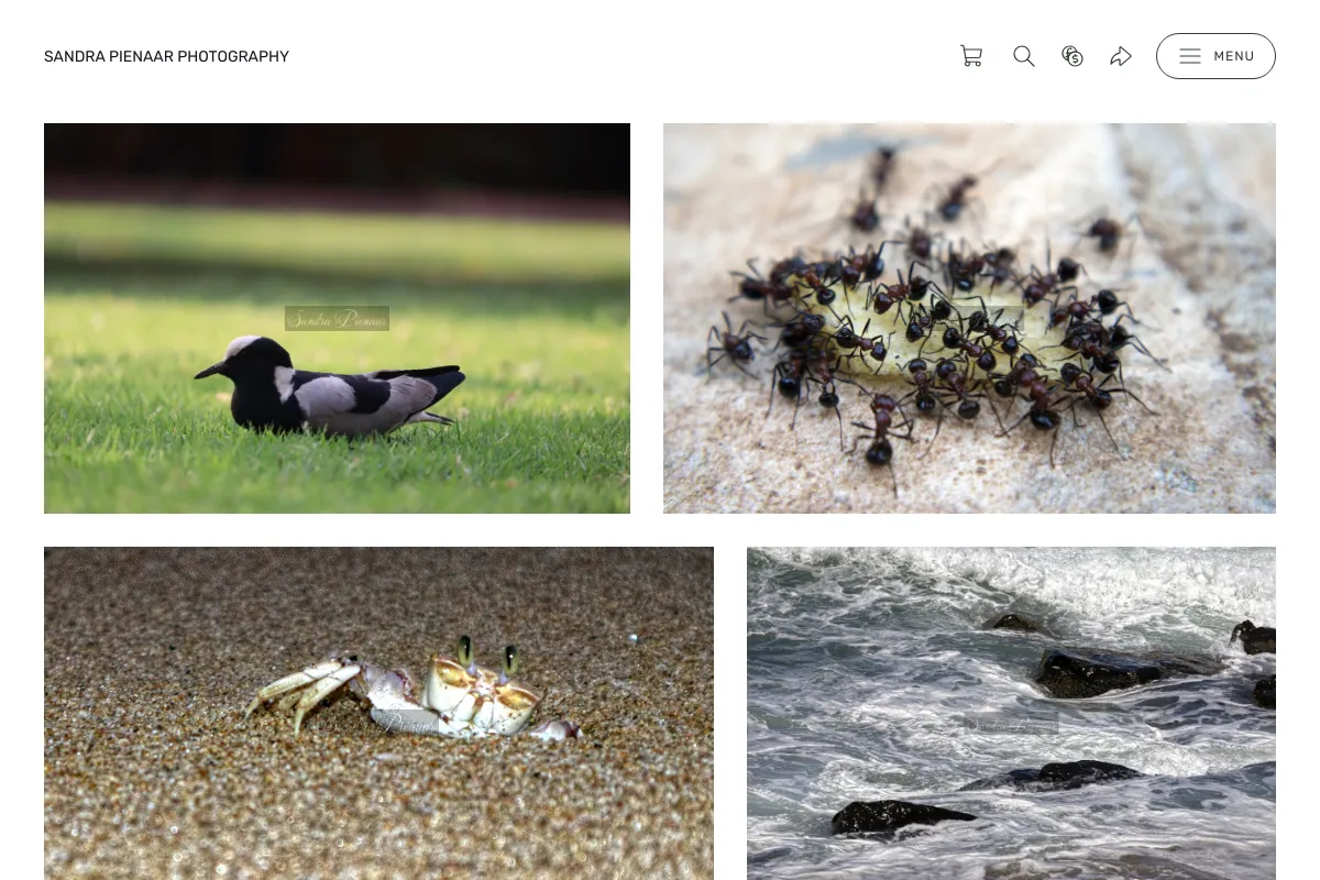 Sandra Pienaar Photography