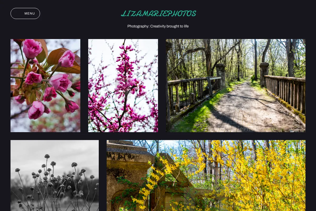 LizaMariePhotos