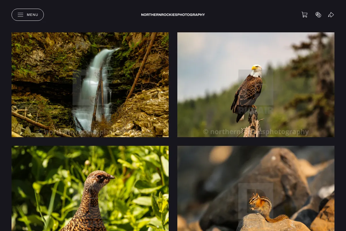 northernrockiesphotography