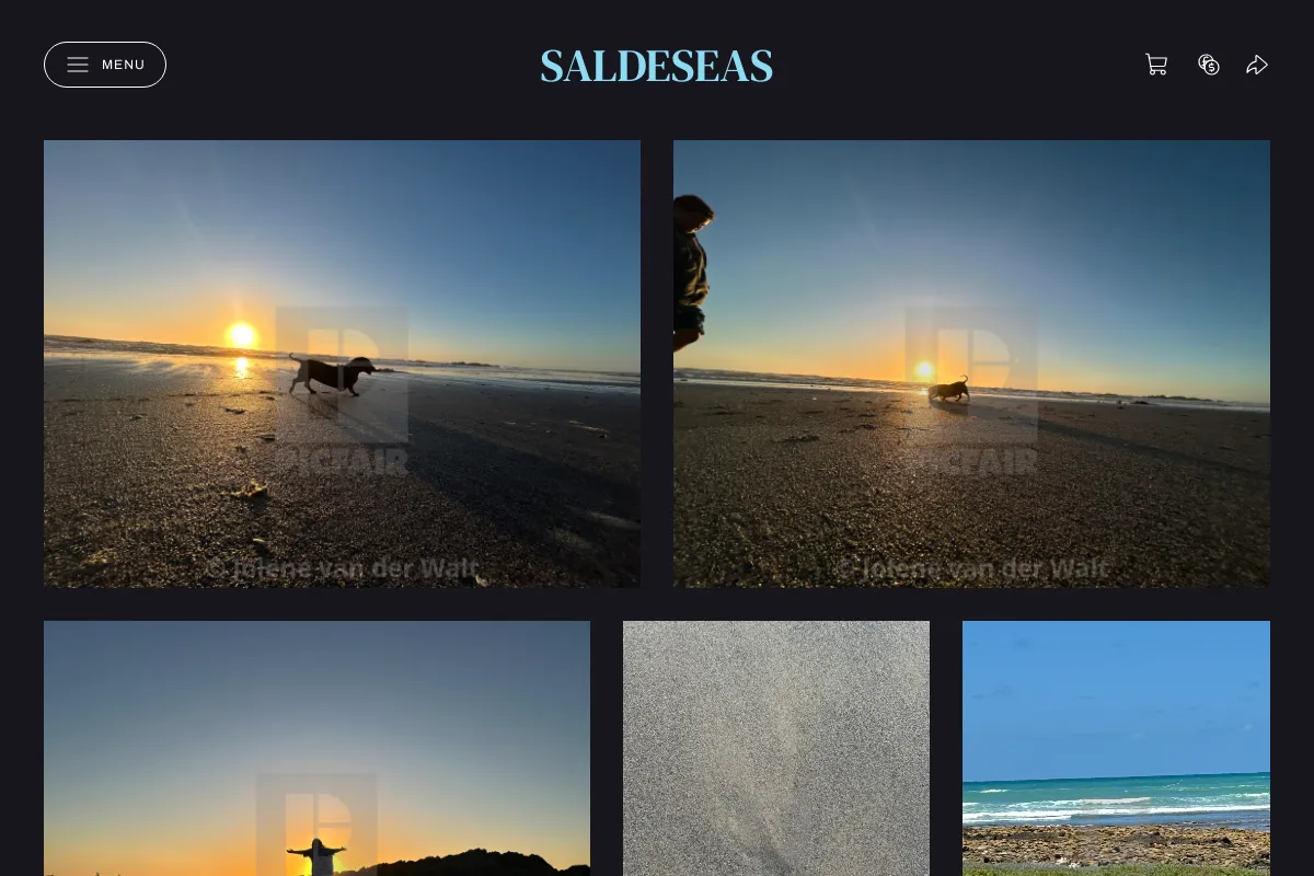 Saldeseas