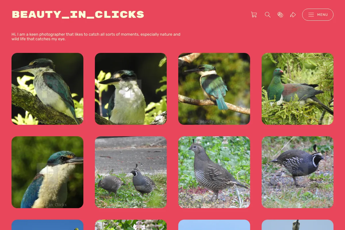 Beauty_in_Clicks