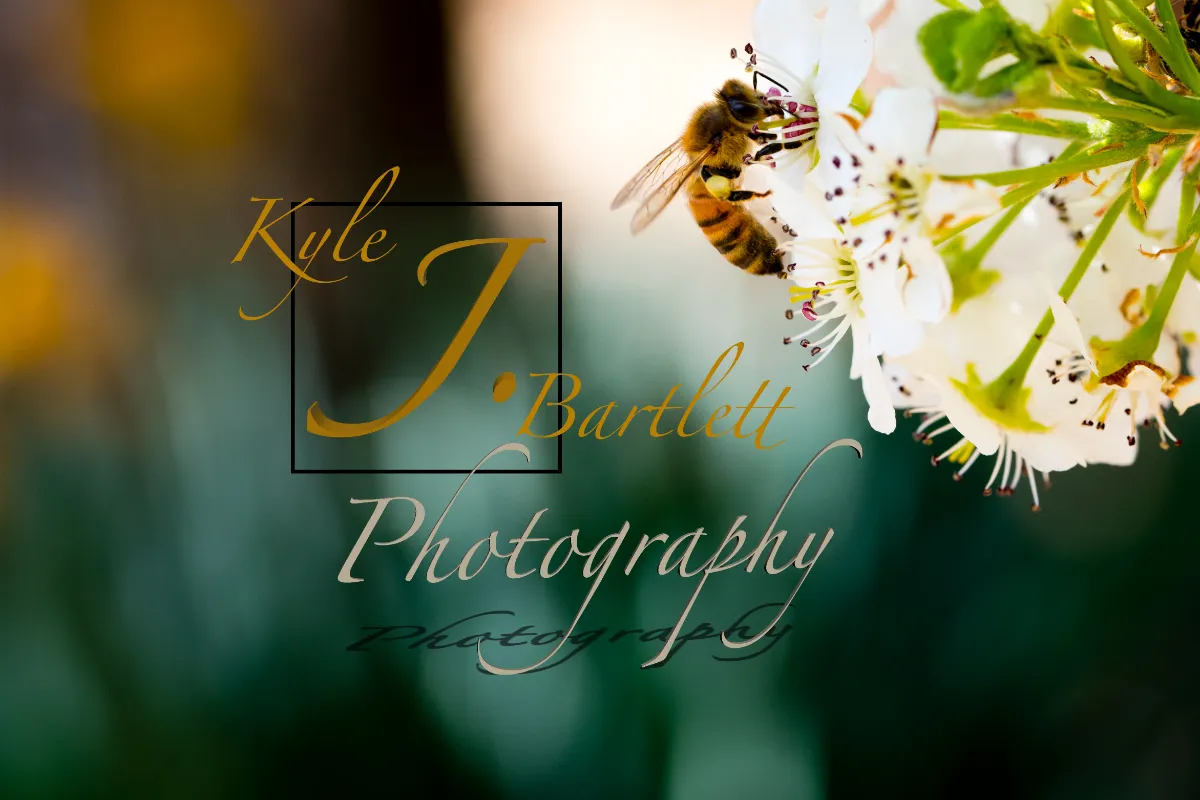 Kyle J Bartlett Photography