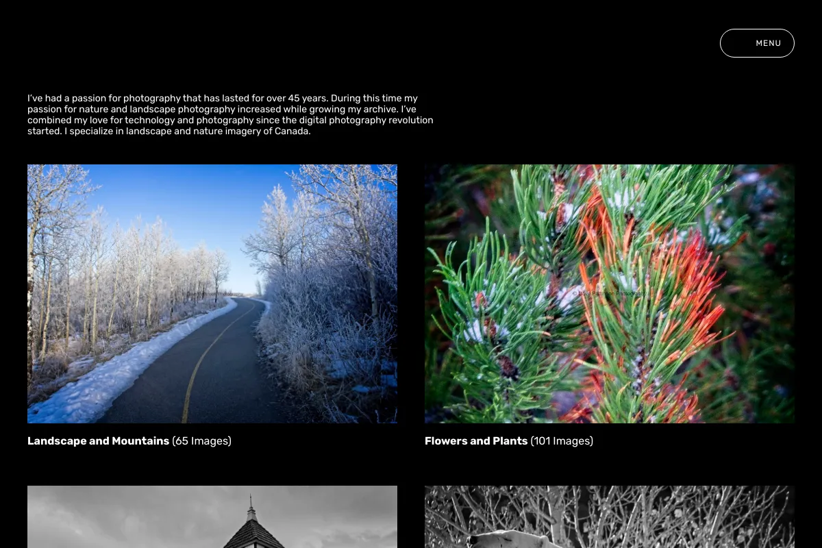 Dave Pattinson Photography