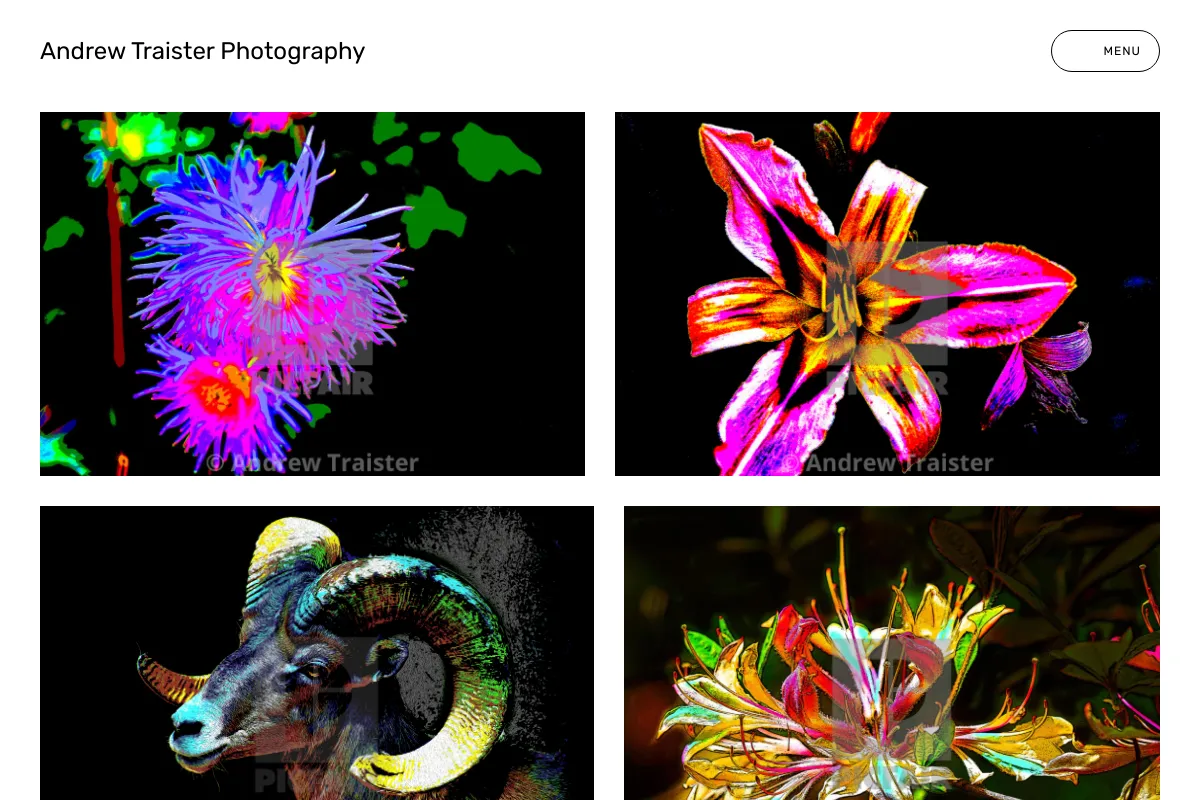 Andrew Traister Photography