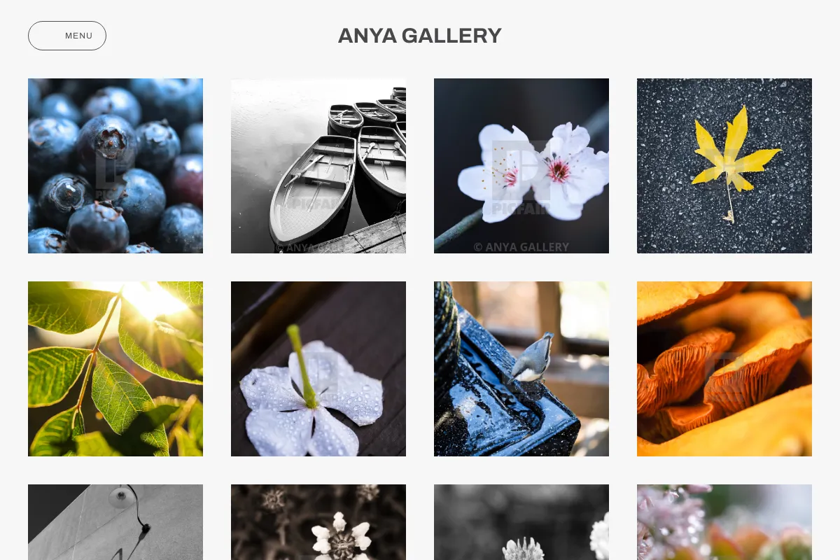 ANYA GALLERY