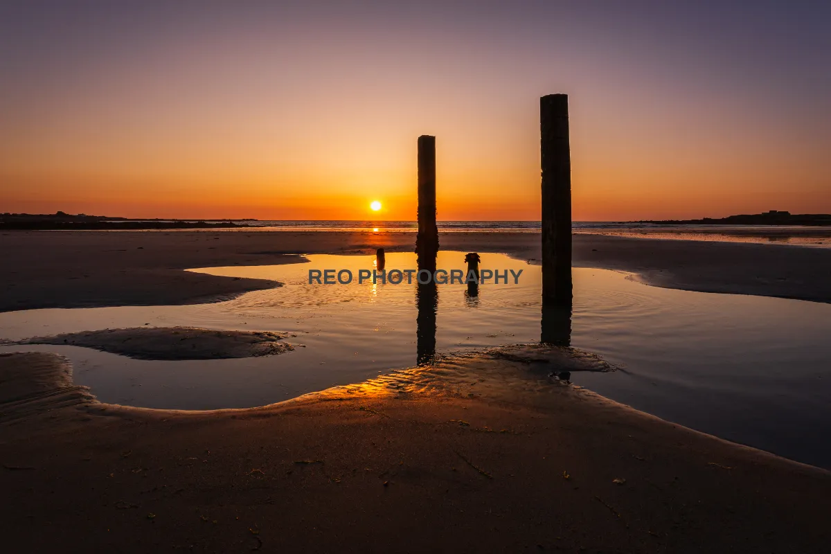 REO Photography