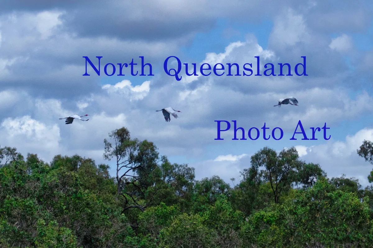 NQPhotoArt