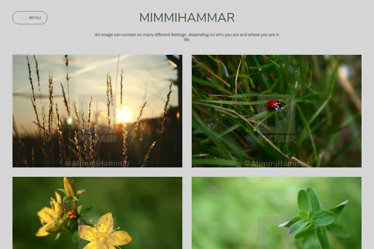 MimmiHammar
