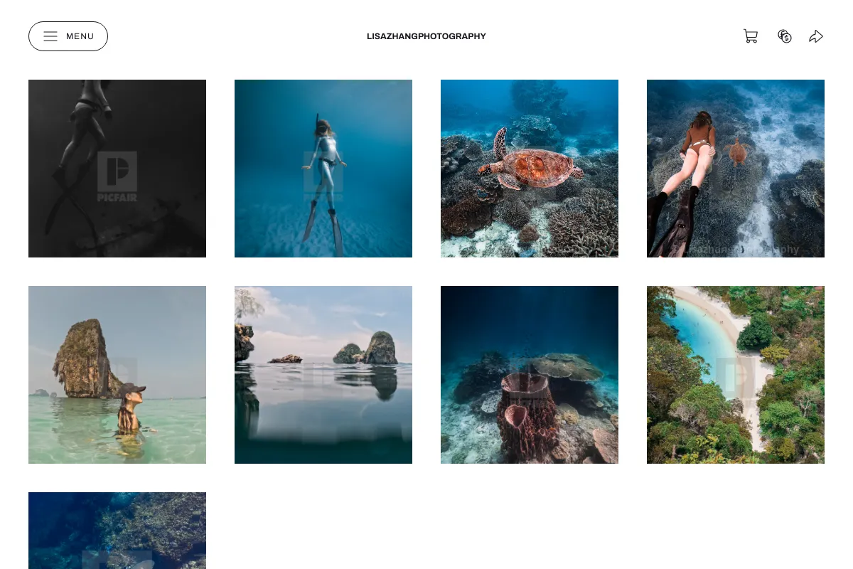 Lisazhangphotography
