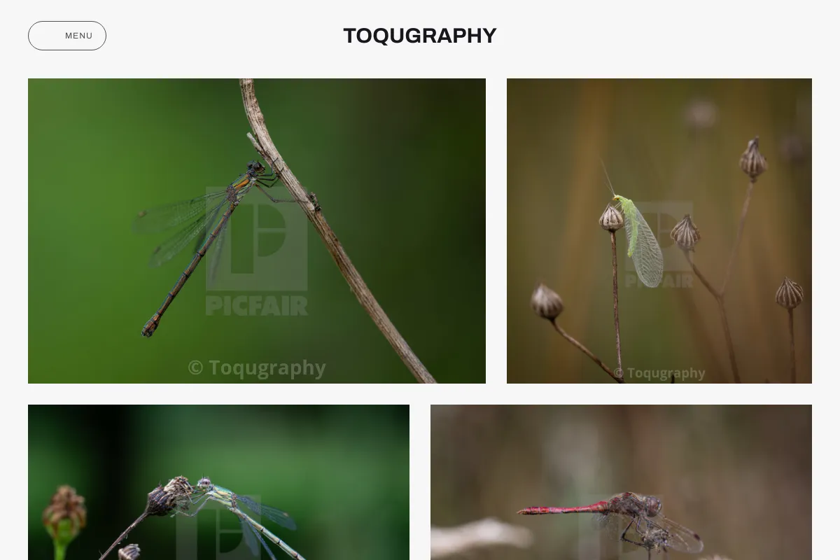 Toqugraphy