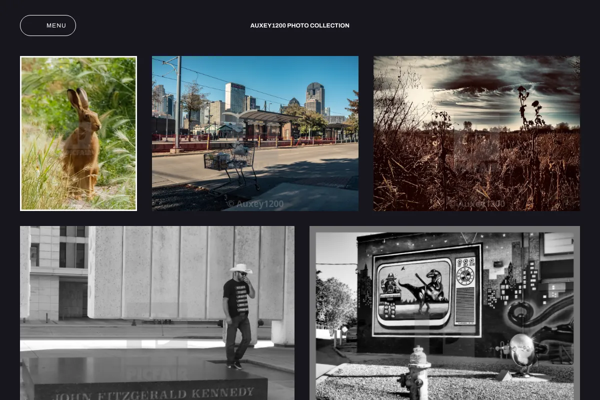 Auxey1200 photo collection 