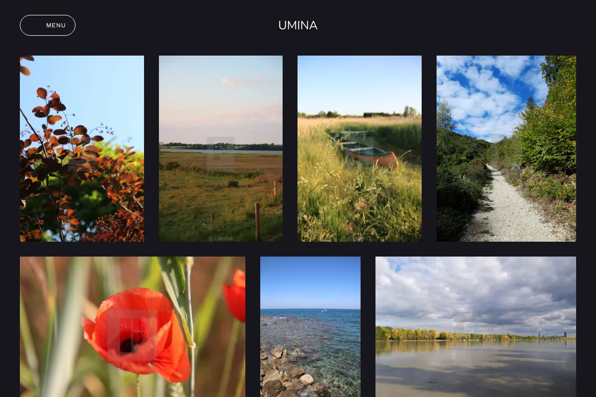 UMINA