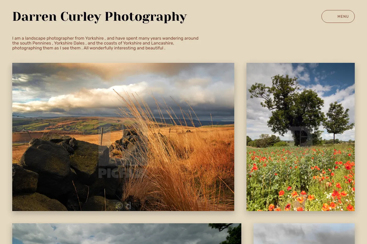 Darren Curley Photography
