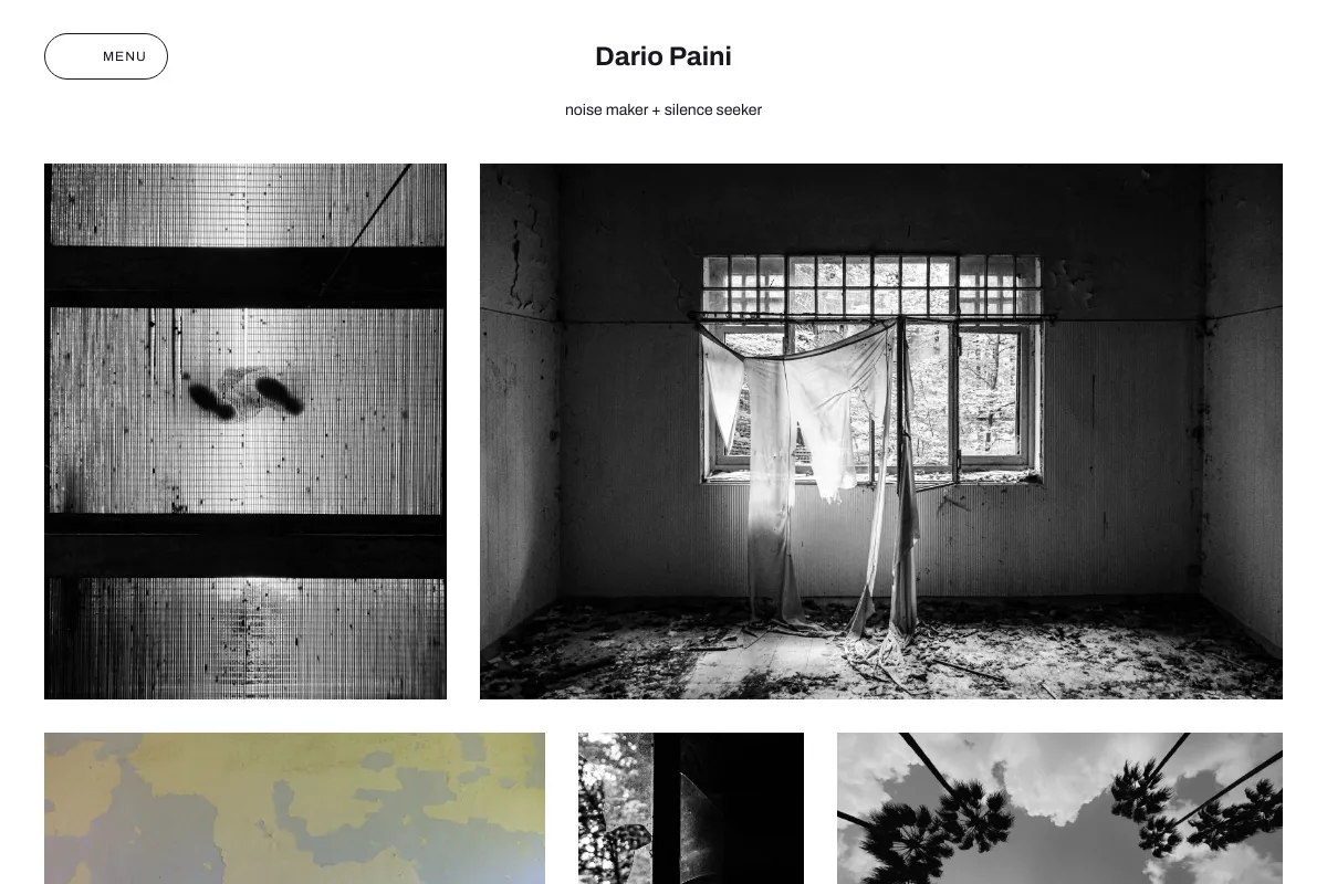 Dario Paini