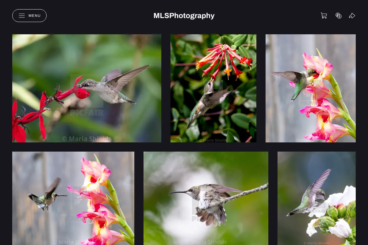 MLSPhotography