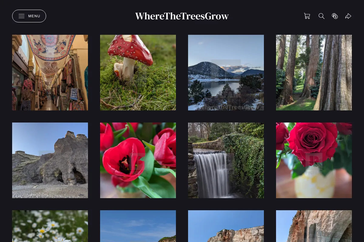 WhereTheTreesGrow