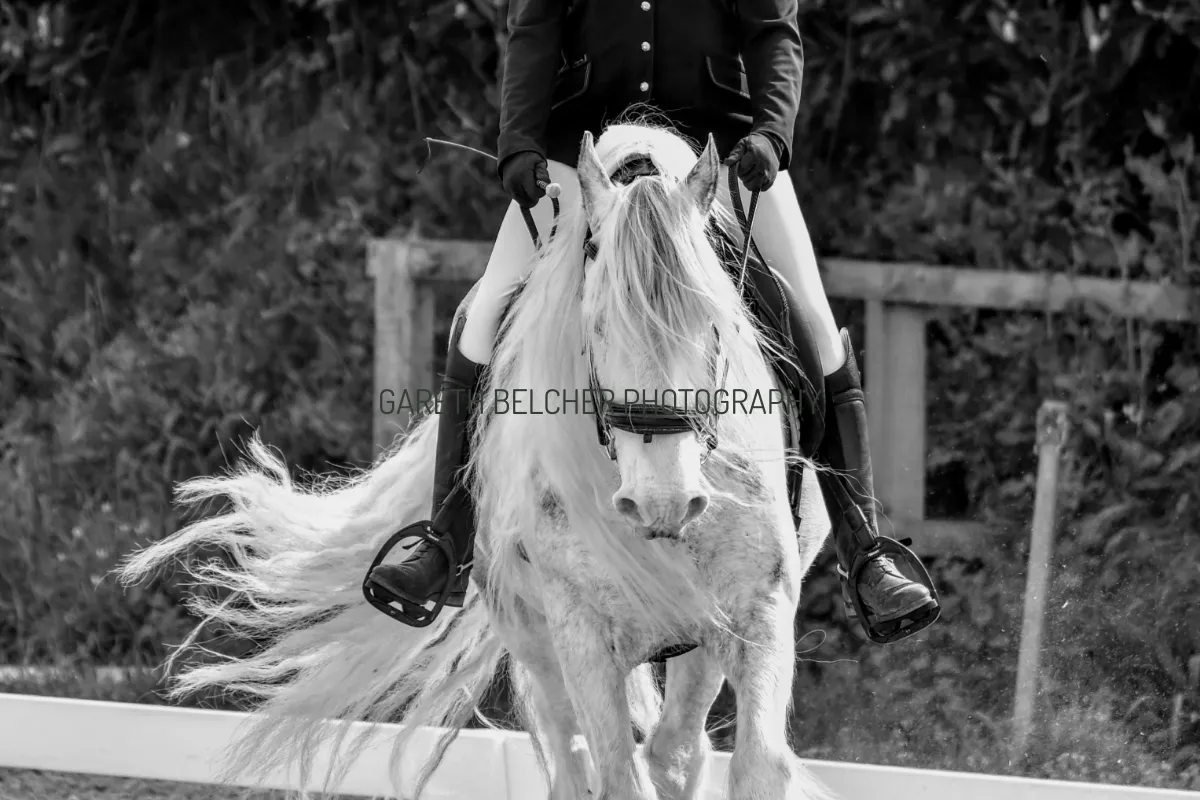 Gareth Belcher Photography