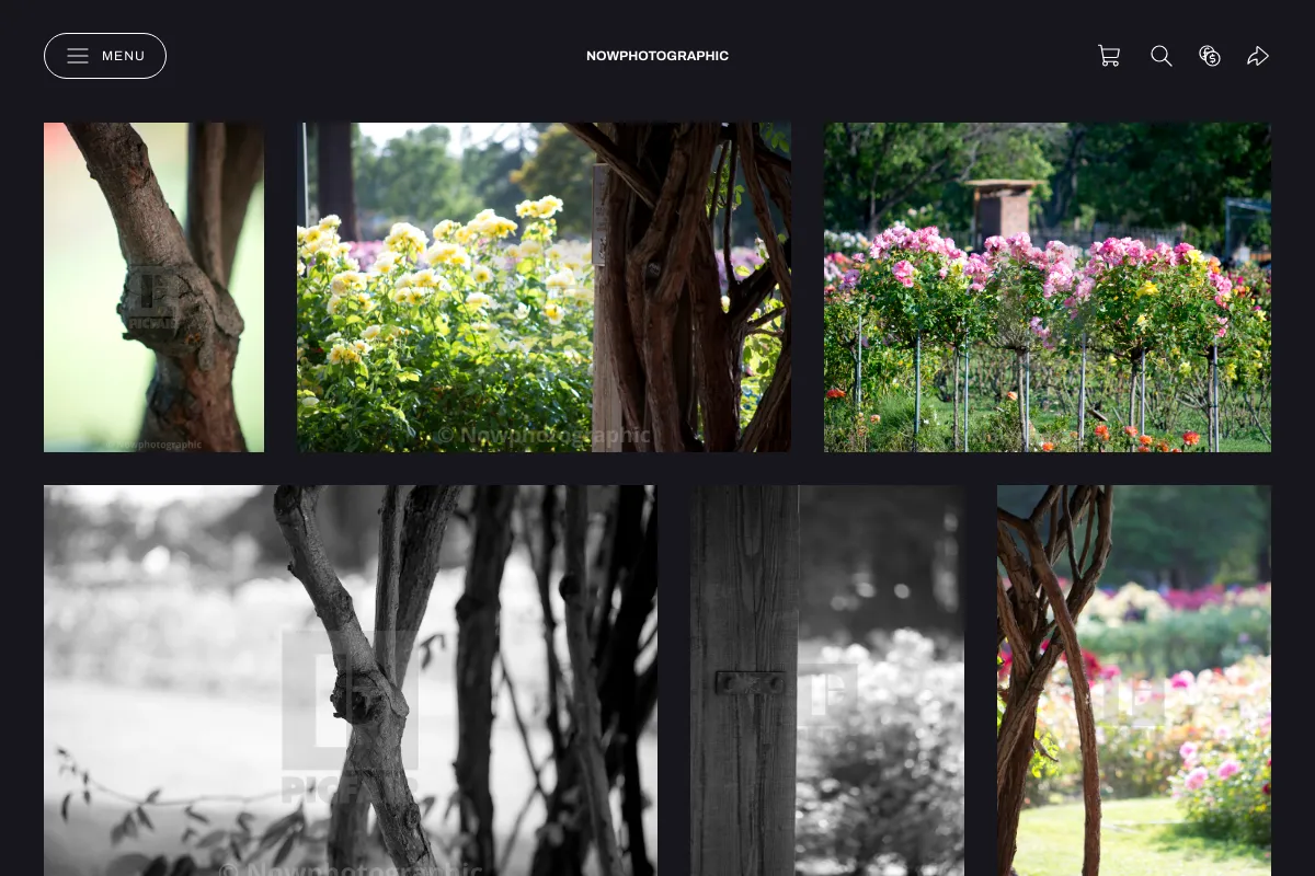 Nowphotographic