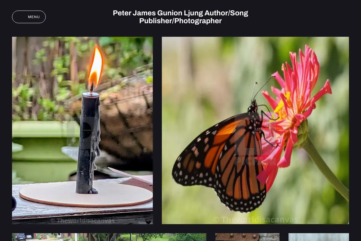 Peter James Gunion Ljung Author/Song Publisher/Photographer