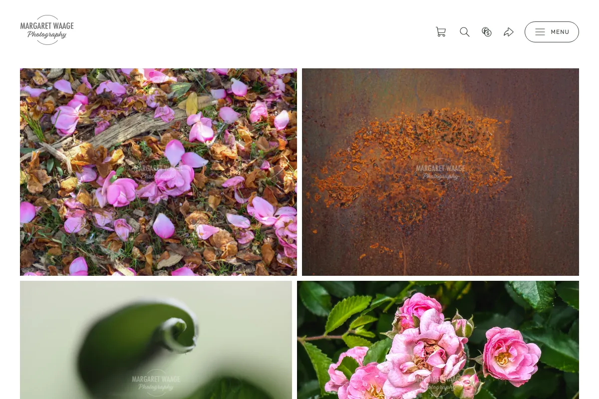 Margaret Waage Photography